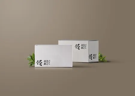 纸箱样机图片 纸箱样机图片