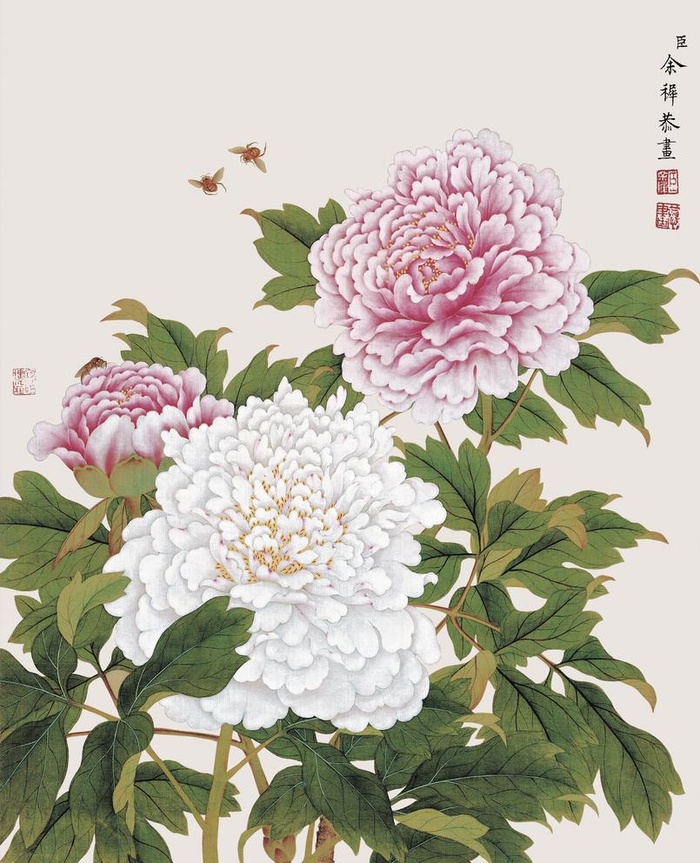 花鸟画图片