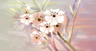 唯美花朵手绘图图片