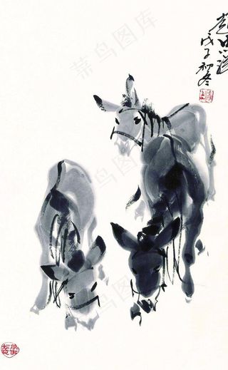 毛驴图图片