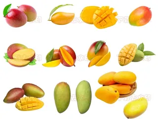 芒果素材图片