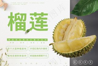 榴莲特推海报图片