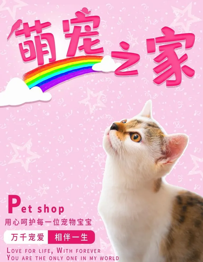 宠物寄养海报         图片(3543x4724)psd模版下载