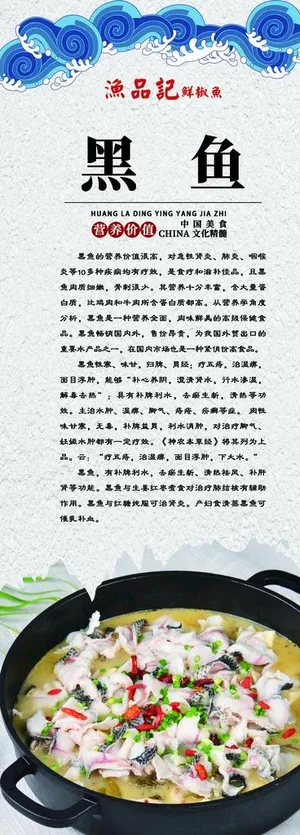 黑鱼介绍 黑鱼营养价值图片