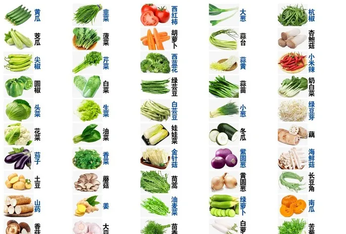 蔬菜菜单 蔬菜图片大全