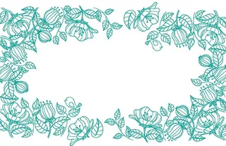 夏日植物线条边框图片