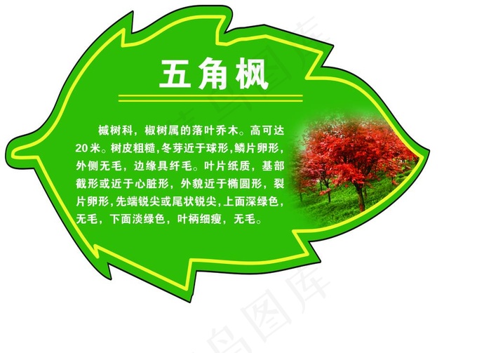 树牌图片psd模版下载
