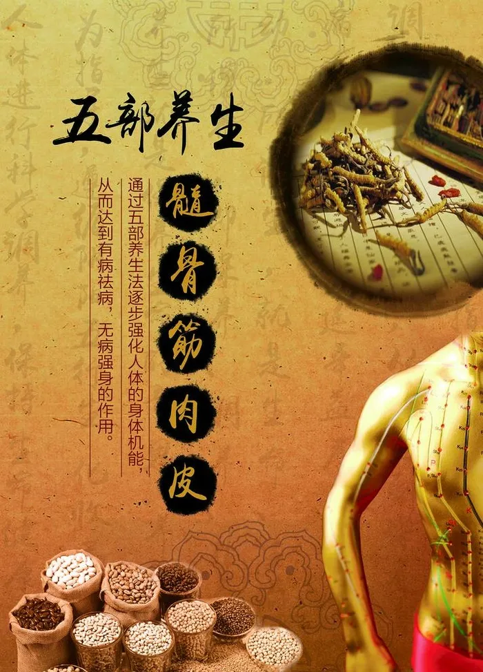 五部养生图片(3130x4488)psd模版下载