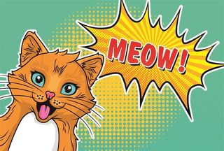 卡通猫图片