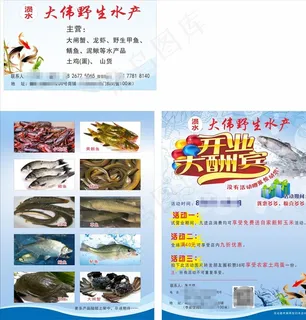 大伟水产单页名片图片