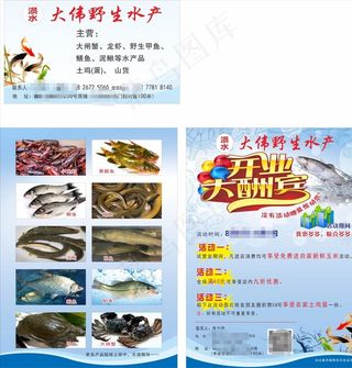 大伟水产单页名片图片