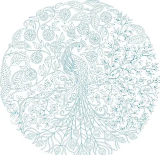 线条画孔雀图片