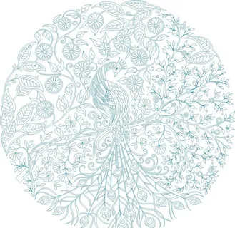 线条画孔雀图片 线条画孔雀图片