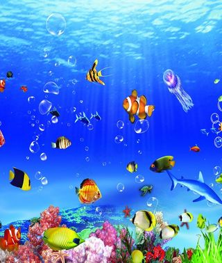 海底世界图片