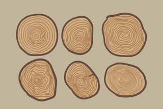 木纹 木纹木板矢量 木板木纹图片