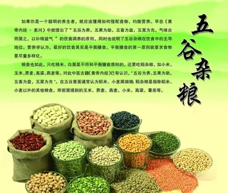五谷杂粮图片
