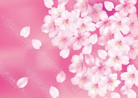 樱花背景图片