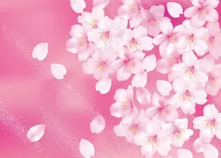 樱花背景图片