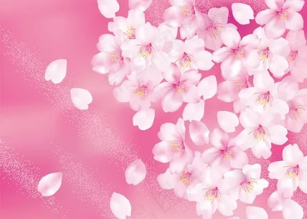 樱花背景图片 樱花背景图片
