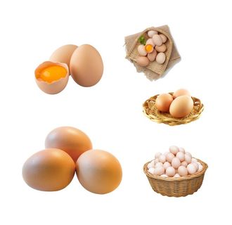 鸡蛋图片