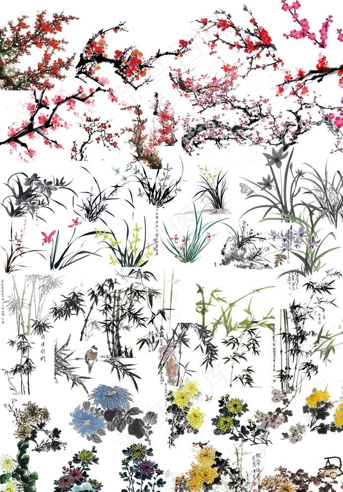 梅兰竹菊图片