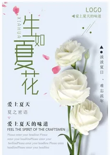 生如夏花图片 生如夏花图片
