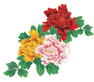 牡丹  国花图片