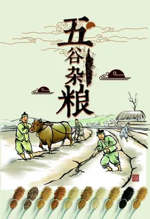 五谷杂粮海报 图片