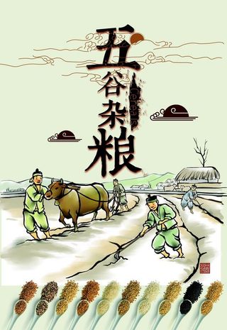 五谷杂粮海报 图片