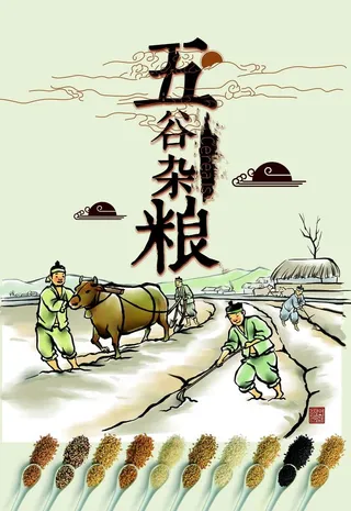 五谷杂粮海报 图片