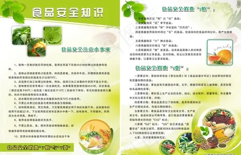 食品安全宣传单图片
