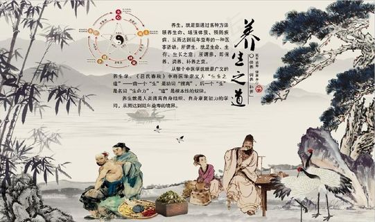 复古怀旧养生之道养生馆背景墙图片