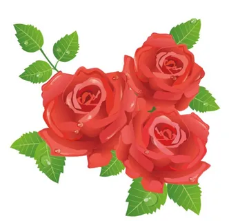 玫瑰花图片 玫瑰花图片