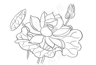 荷花简笔画图片