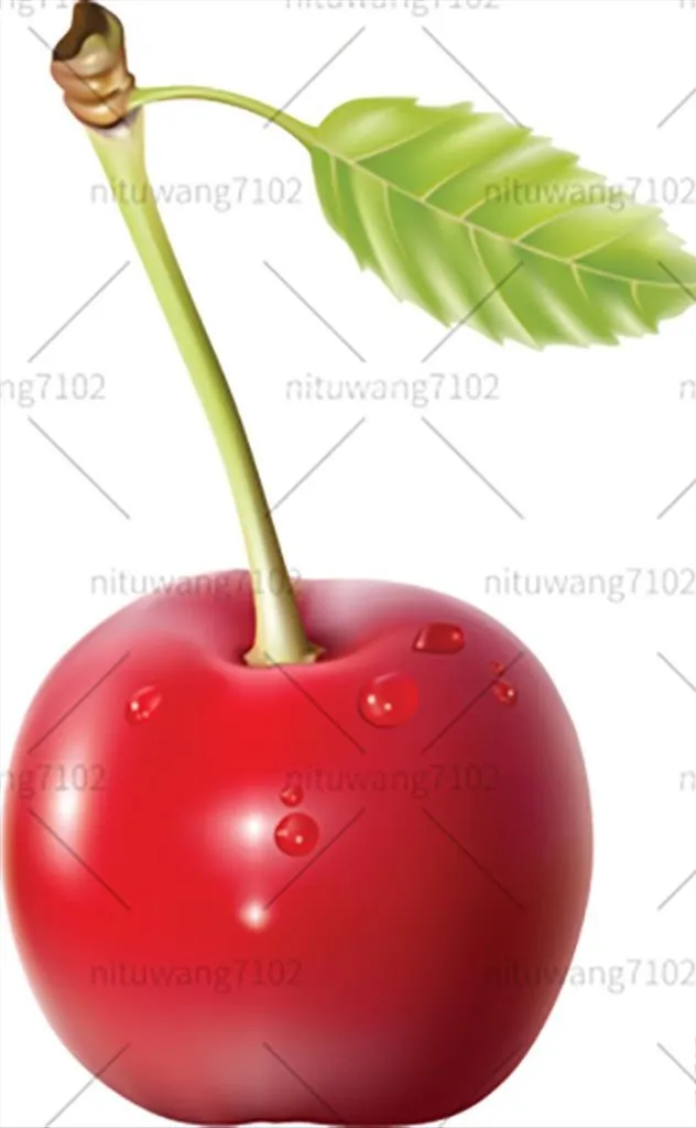 车厘子 樱桃图片(260x401)psd模版下载