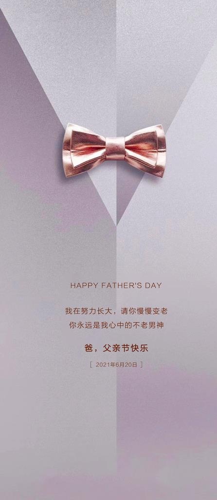 父亲节海报图片(1654x3543)psd模版下载