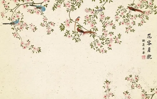 花鸟图片 花鸟图片