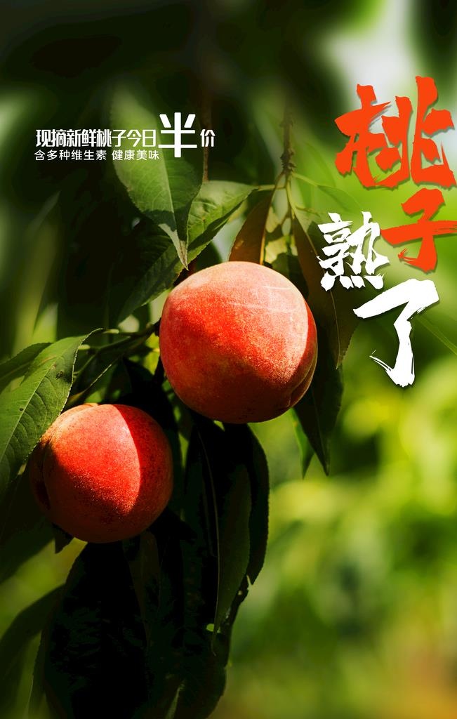 桃子海报 图片(3543x5315)psd模版下载