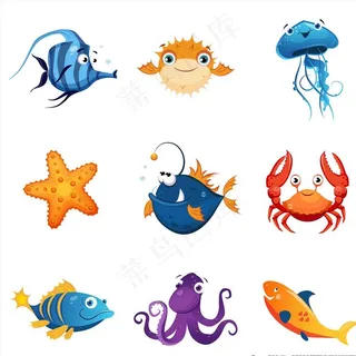 海洋动物图片