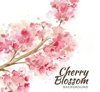 水彩绘盛开樱花图片