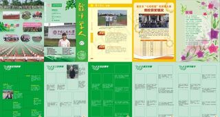 龙中学人杂志图片