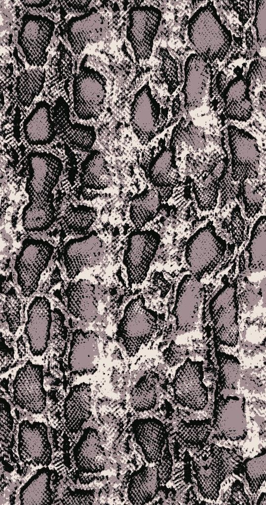 灰底黑边豹纹图片