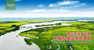 水稻田航拍图试验田图片