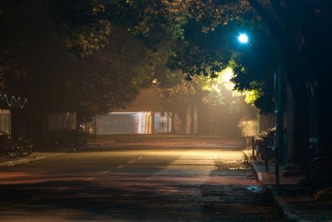 路灯下的路图片