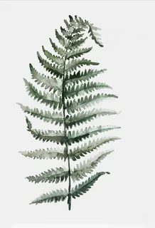 北欧装饰画图片