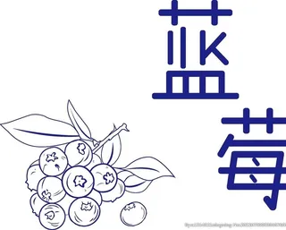 原创手绘蓝莓线稿图片