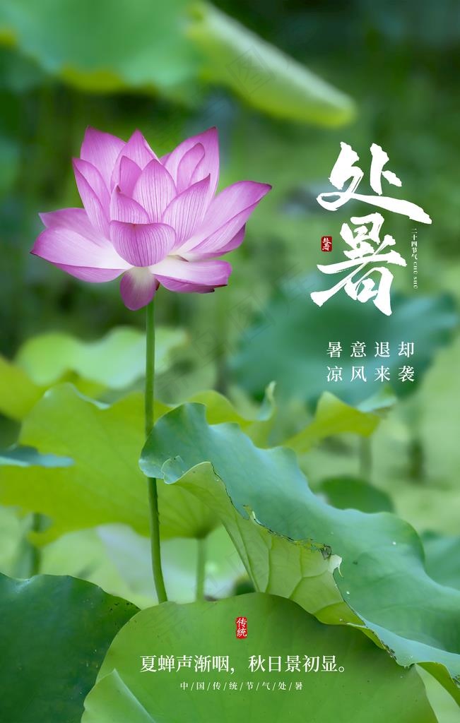 处暑图片