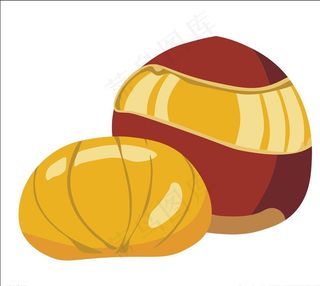 板栗矢量图片