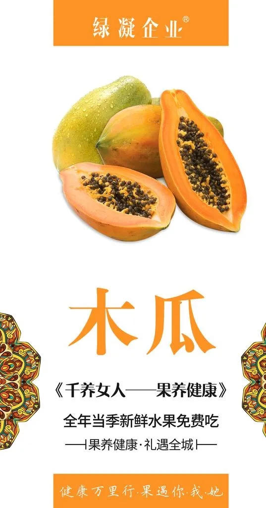 木瓜海报图片(2953x5315)psd模版下载