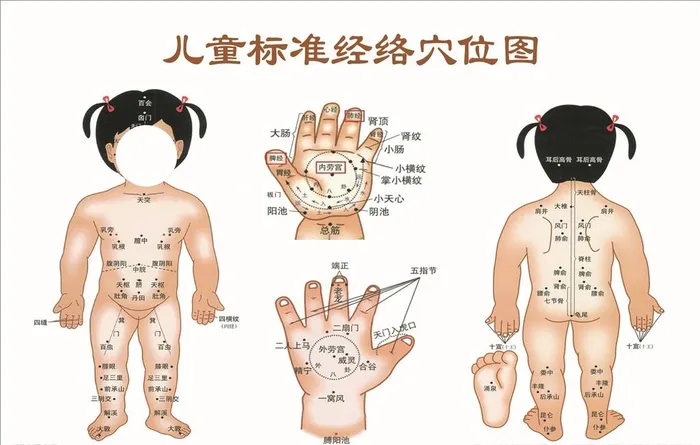 穴位图图片(5315x3543)psd模版下载